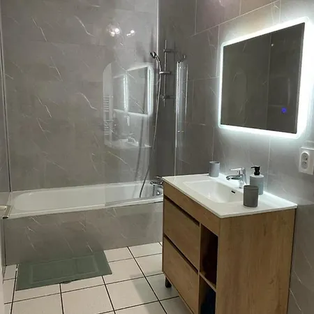 Apartment Au Coeur De *